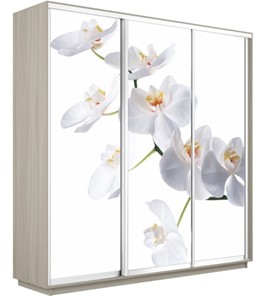 Шкаф 3-створчатый Экспресс 1800х600х2200, Орхидея белая/шимо светлый в Брянске