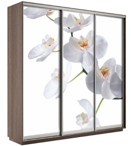 Шкаф 3-дверный Экспресс 2400х600х2200, Орхидея белая/шимо темный в Брянске