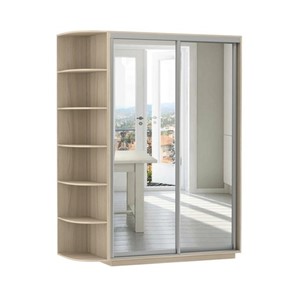 Шкаф 2-дверный Экспресс (2 зеркала), со стеллажом 1700x600x2200, шимо светлый в Брянске