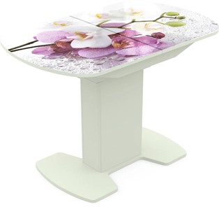 Кухонный стол раскладной Корсика исп. 2 Фотопечать (Цветы №44) 1200(1515)*800 в Брянске