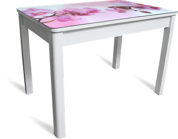 Кухонный раздвижной стол Айсберг мини СТФ, белое лдсп/орхидея/40 прямые массив белые в Брянске