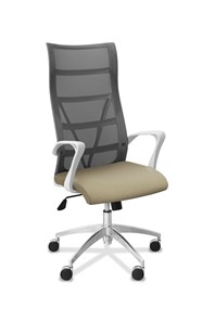 Офисное кресло для руководителя Топ X белый каркас, сетка/ткань TW / серая/светло-серая в Брянске