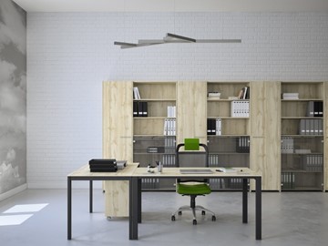 Офисный комплект мебели Экспро Саньяна в Брянске