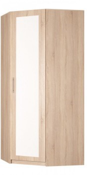 Шкаф распашной угловой Реал (YR-230х1034 (3)-М Вар.1), с зеркалом в Брянске - изображение