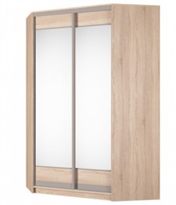 Угловой шкаф Аларти (YA-230х1400(602) (4) Вар. 5; двери D2+D2), с зеркалом в Брянске