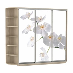 Шкаф Экспресс со стеллажом, 2100х600х2200, Орхидея белая/шимо светлый в Брянске - предосмотр