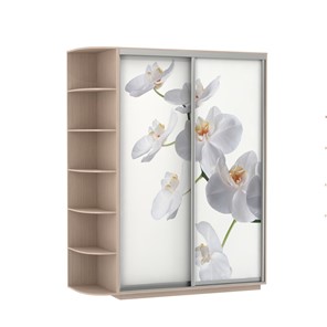 Шкаф 2-дверный Экспресс 1900x600x2200, со стеллажом, Орхидея белая/дуб молочный в Брянске - предосмотр