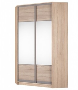 Угловой шкаф Аларти (YA-230х1250(602) (2) Вар. 5; двери D3+D3), с зеркалом в Брянске