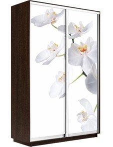 Шкаф Экспресс 1400x600x2400, Орхидея белая/венге в Брянске