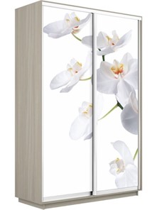 Шкаф 2-дверный Экспресс 1600x450x2200, Орхидея белая/шимо светлый в Брянске