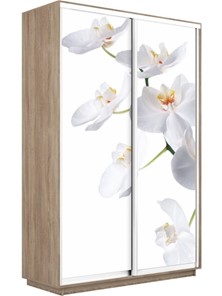 Шкаф 2-х створчатый Экспресс 1600x450x2400, Орхидея белая/дуб сонома в Брянске - предосмотр