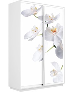 Шкаф-купе Экспресс 1600x600x2200, Орхидея белая/белый снег в Брянске