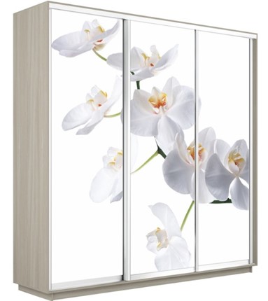 Шкаф 3-дверный Экспресс 2400х600х2400, Орхидея белая/шимо светлый в Брянске - изображение