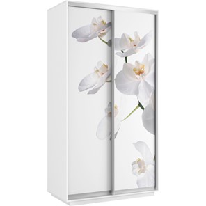 Шкаф 2-х дверный Хит 1200x600x2200, белая орхидея, белый снег в Брянске - предосмотр