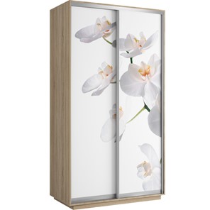 Шкаф 2-дверный Хит 1200x600x2200, белая орхидея, ясень шимо светлый в Брянске