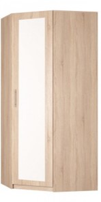 Угловой шкаф распашной Реал (YR-230х1034 (3)-М Вар.4), с зеркалом в Брянске - предосмотр