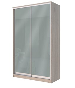 Шкаф двухстворчатый Хит-22-12-22 с цветным стеклом, средне-серый 074, Дуб сонома в Брянске