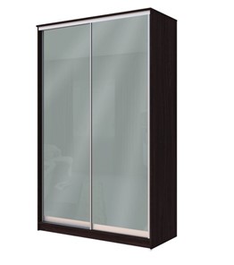 Шкаф двухстворчатый Хит-22-12-22 с цветным стеклом, средне-серый 074, Венге в Брянске