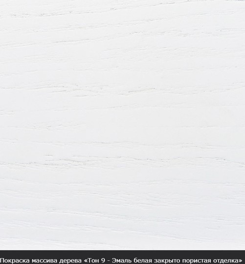 Стол раздвижной Фабрицио-1 исп. Круг 820, Тон 9 (Морилка/Эмаль) в Брянске - изображение 16