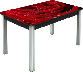 Кухонный раскладной стол Гамбург исп. Мини, ноги метал. крашеные №23, Фотопечать (Цветы №39) в Брянске
