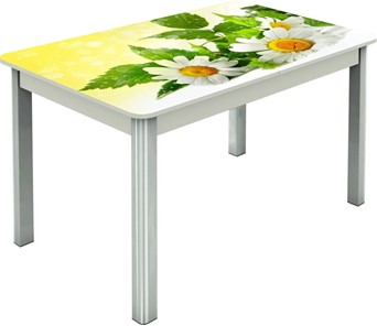 Кухонный раскладной стол Гамбург исп.2 ноги метал. крашеные №23, Фотопечать (Цветы №3) в Брянске