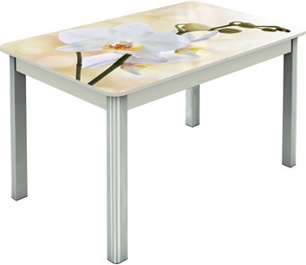 Кухонный стол раздвижной Гамбург исп.2 ноги метал. крашеные №23, Фотопечать (Цветы №5) в Брянске