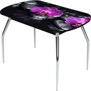 Кухонный раскладной стол Ривьера исп.1 ноги метал. крашеные №24 Фотопечать (Цветы №14) в Брянске