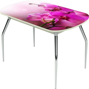 Раздвижной стол Ривьера исп.1 ноги метал. крашеные №24 Фотопечать (Цветы №16) в Брянске
