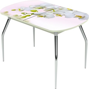 Кухонный стол раскладной Ривьера исп.1 ноги метал. крашеные №24 Фотопечать (Цветы №7) в Брянске