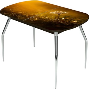 Кухонный раскладной стол Ривьера исп.2 ноги метал. крашеные №24 Фотопечать (Цветы №43) в Брянске