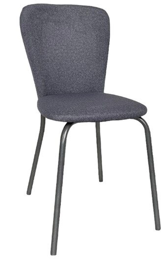 Обеденный стул Роджер Эконом С102-2(стандартная покраска) в Брянске - изображение 1