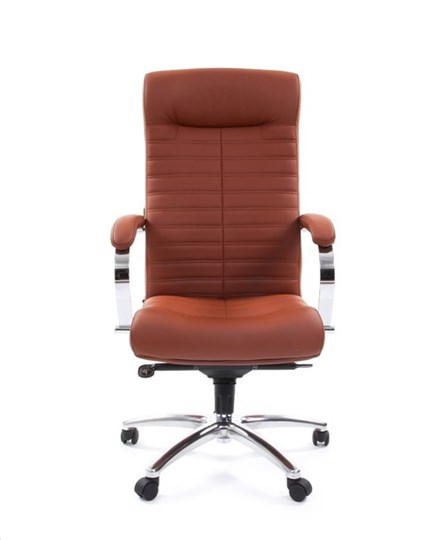 Кресло офисное CHAIRMAN 480 Экокожа Terra 111 (коричневая) в Брянске - изображение 1