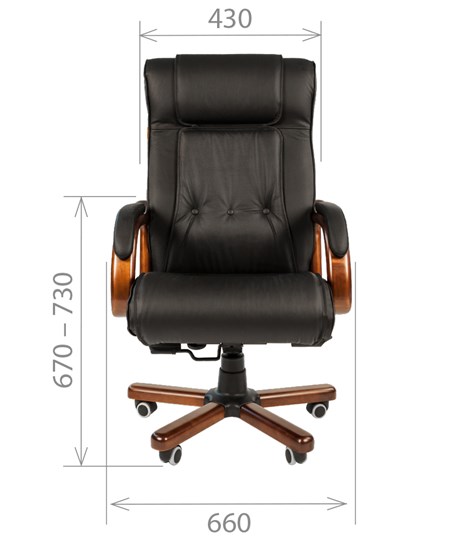 Офисное кресло CHAIRMAN 653 кожа черная в Брянске - изображение 1