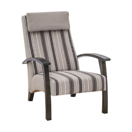 Кресло Старт Каприз-Ретро в Брянске - изображение