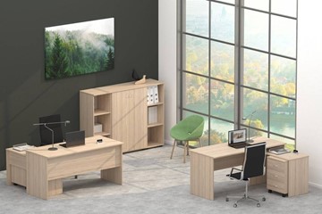 Офисный комплект мебели Twin в Брянске - предосмотр 4
