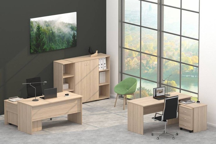 Офисный комплект мебели Twin в Брянске - изображение 4