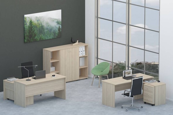 Офисный набор мебели Twin для 2 сотрудников со шкафом для документов в Брянске - изображение