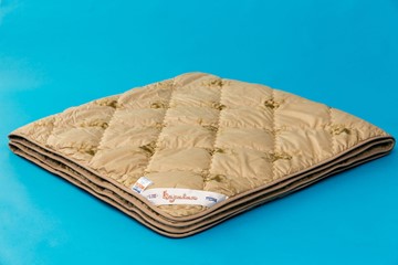 Одеяло всесезонное двуспальное Караван в Брянске - предосмотр