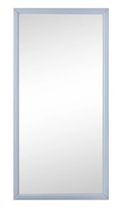 Зеркало навесное в спальню Ника (Серый) 119,5 см x 60 см в Брянске