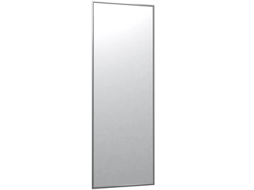 Зеркало навесное в спальню Сельетта-5 глянец серебро (1500х500х9) в Брянске