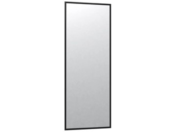 Зеркало навесное в гардероб Сельетта-6 черный (1100х400х9) в Брянске