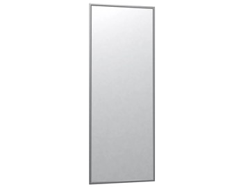 Настенное зеркало Сельетта-6 матовое серебро (1100х400х9) в Брянске