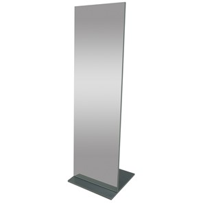 Зеркало напольное Стелла (графит темный) 163,5 см x 50 см в Брянске