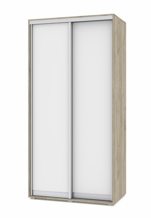 Шкаф-купе 2-х створчатый О41, Серый дуб - Белый в Брянске - изображение