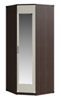 Распашной шкаф угловой Светлана, с зеркалом, венге/дуб молочный в Брянске - изображение
