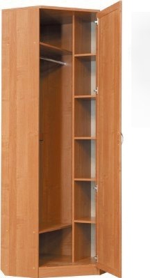 Распашной шкаф 402 угловой со штангой, цвет Дуб Сонома в Брянске - изображение 1