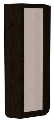 Распашной шкаф 402 угловой со штангой, цвет Венге в Брянске - изображение