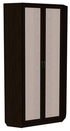 Распашной шкаф 401 угловой со штангой, цвет Венге в Брянске - изображение