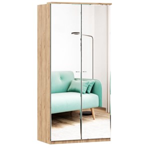 Шкаф двухстворчатый с 2-мя зеркалами Фиджи, 659.233, цвет белый в Брянске