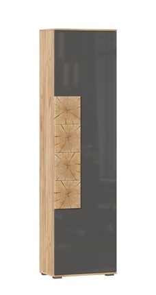 Шкаф одностворчатый Фиджи с декоративными накладками 659.300, Дуб Золотой/Антрацит в Брянске - изображение